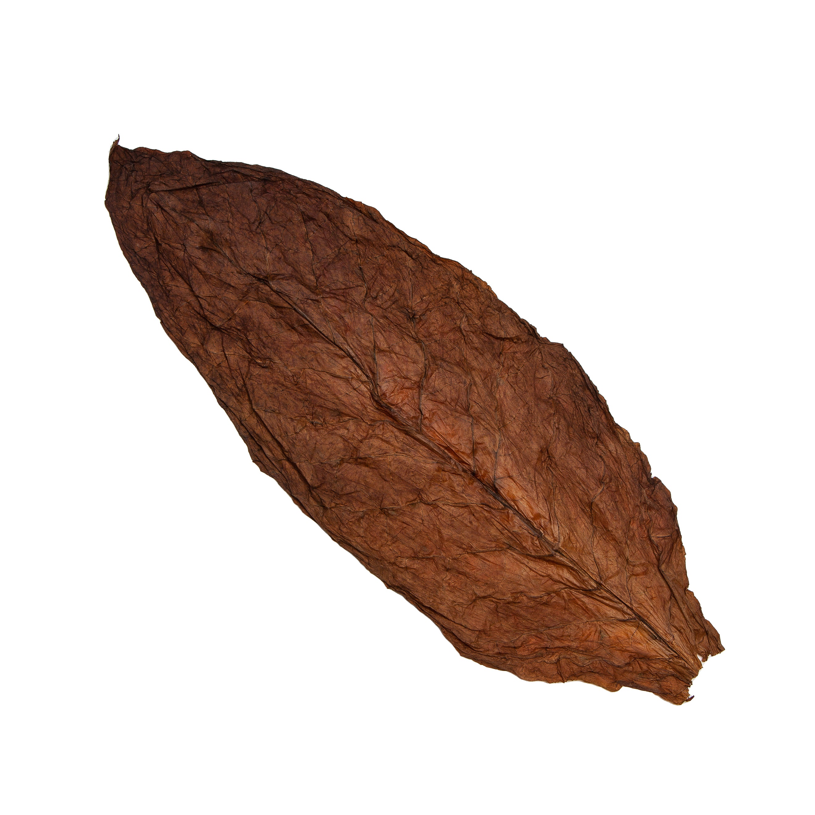 Storing and Preserving Your Fronto Leaf: Essential Tips and Tricks