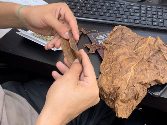 Storing and Preserving Your Fronto Leaf: Essential Tips and Tricks for Optimal Freshness