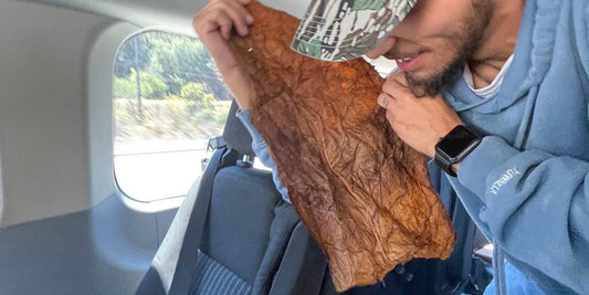What is Fronto Leaf used for?