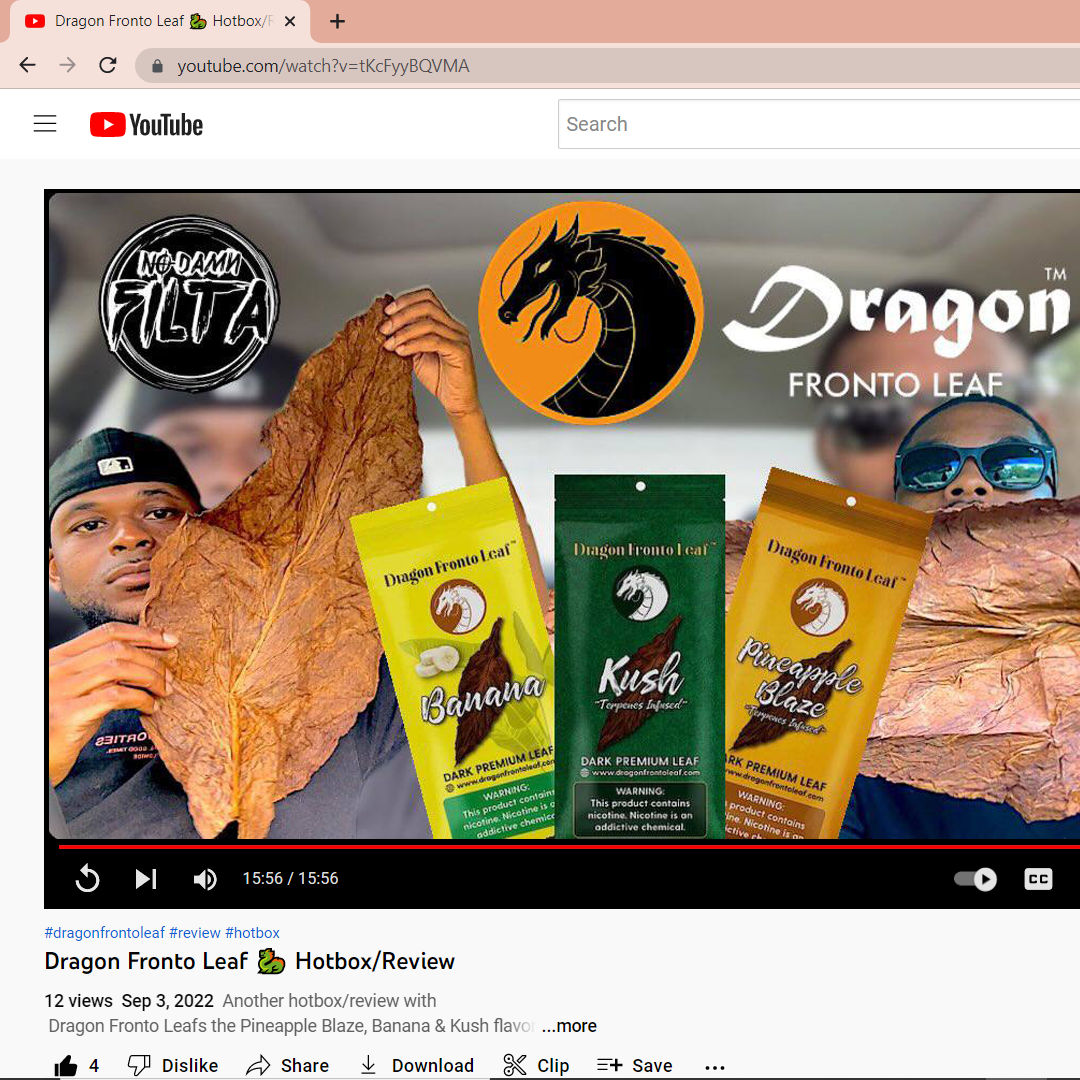 Screenshot of youtube.com, opened up to a review of Dragon Fronto Leaf